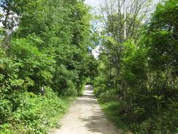 Mt Nemo waking trail