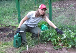 Michelle Bennett shows what can be produced in a community garden.  This one is at the rear of the Lutheran church on Lakeshore road which has a waiting list more than a year long.