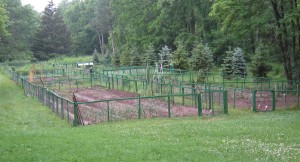 https://burlingtongazettemedia.s3.ca-central-1.amazonaws.com/burlingtongazt/wp-content/uploads/2011/07/Lutheran-church-garden.jpg