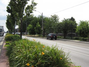 Plains Road; an old suburban highway transitions into a vibrant urban main street.