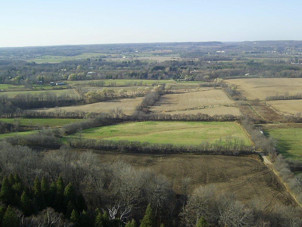 Not through this part of th Escarpment if you don't mind. Citizens want to make sure the province fully understands how iopposed they are to a raod through this part of our city.