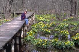 Conserving the environment and making room for foreigners with environmental training is part of a new Conservation Halton initiative funded by a Trillium Grant