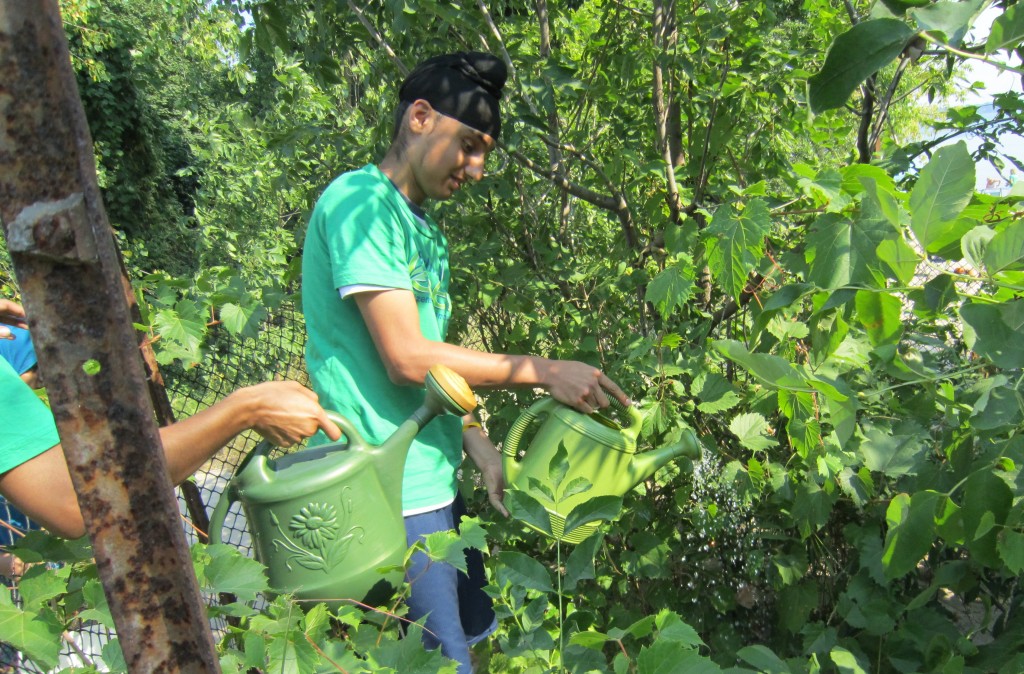 BG watering plants on Beachway Aug 2013