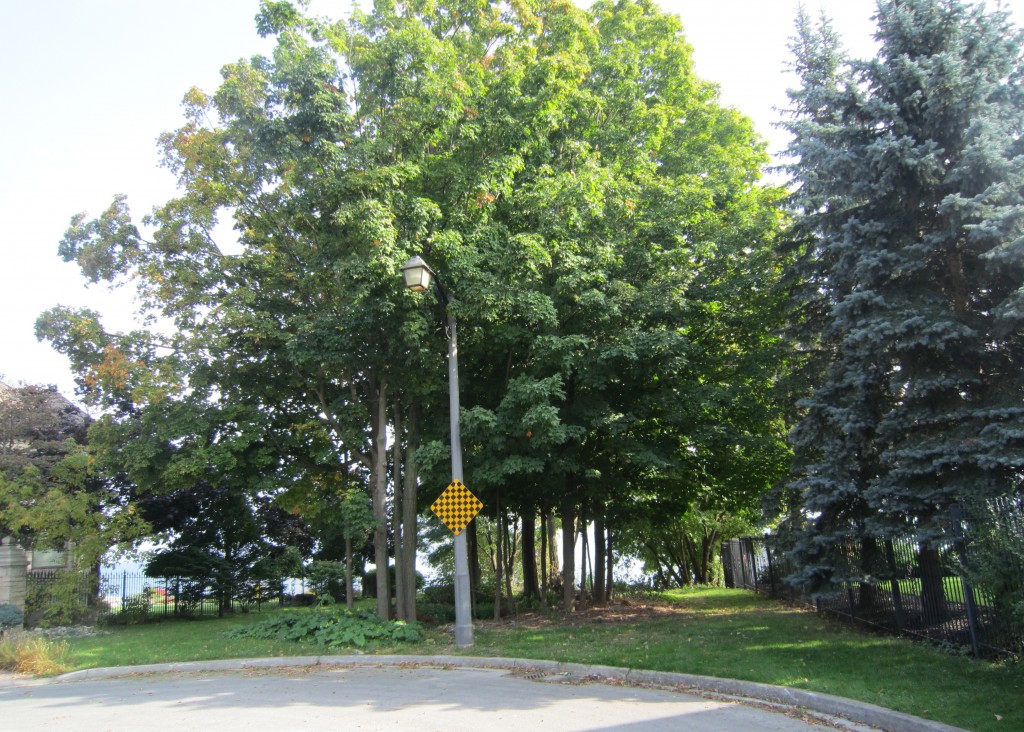 Lakeshore Market Stree Parkette