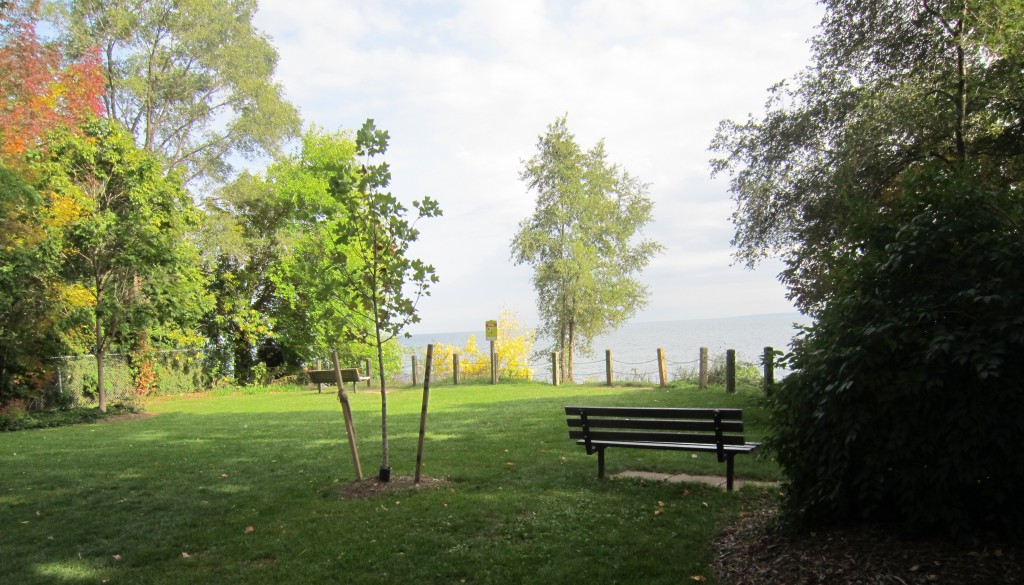 Nelson Park east side