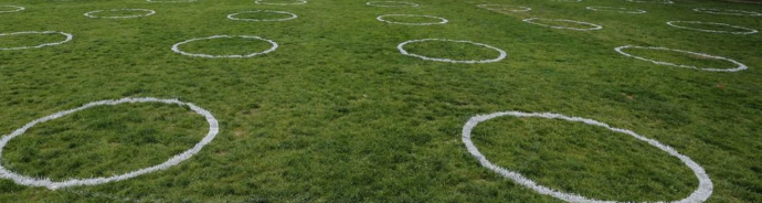 sociial circles