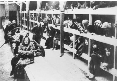 auschwitz