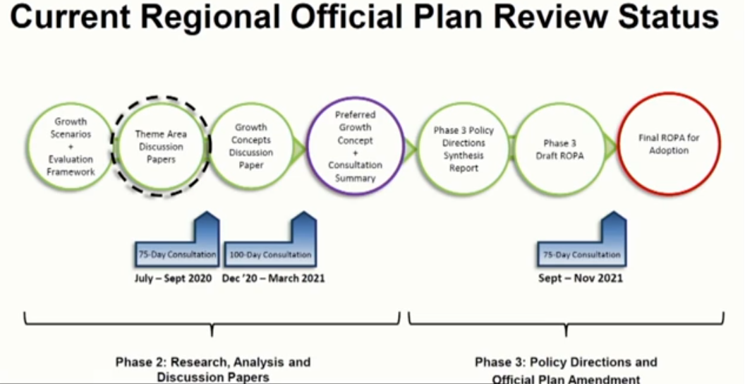 Reg review process