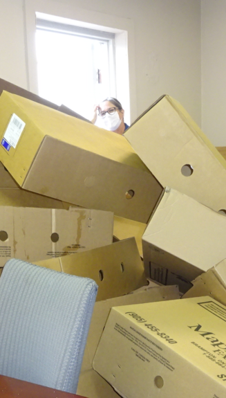 Domenique - over boxes