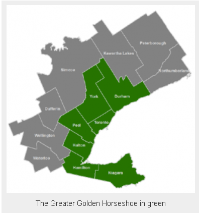 Greater Golden Horse graphc