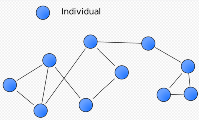 social circles graphic