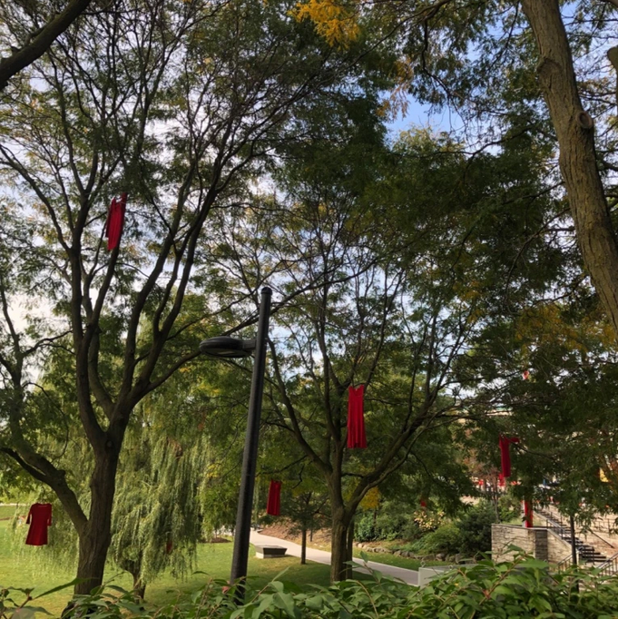 ReDress SS park