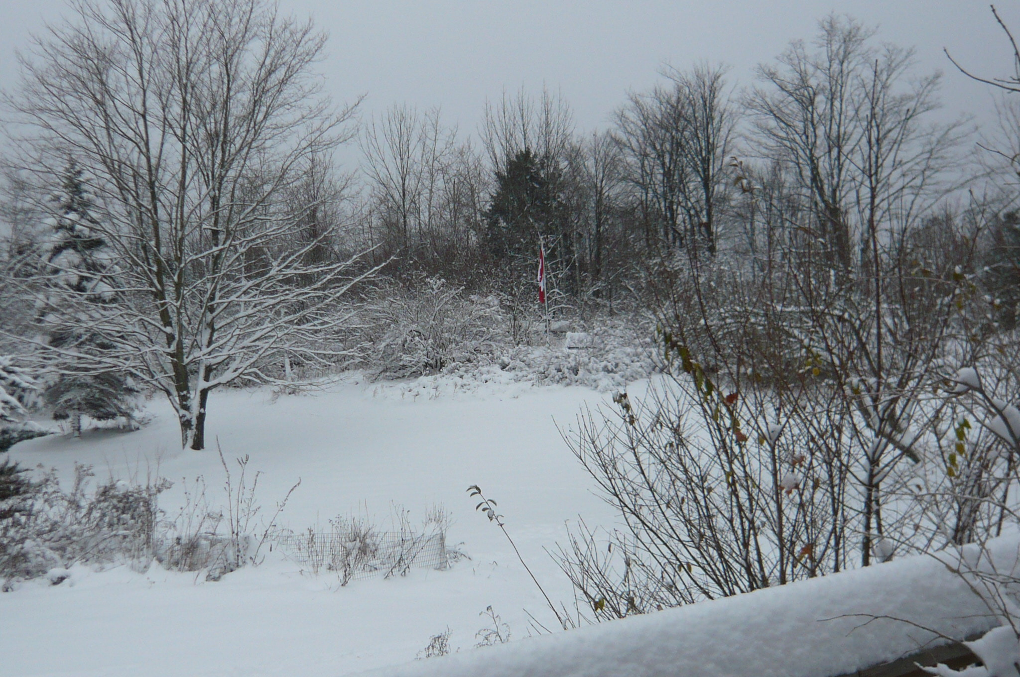 Winter and the flag