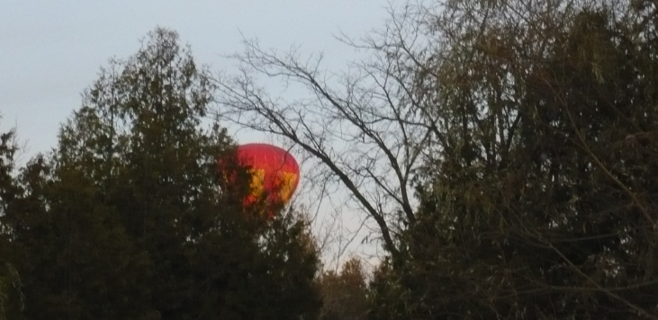balloon wide
