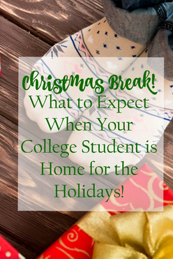 Christmas break