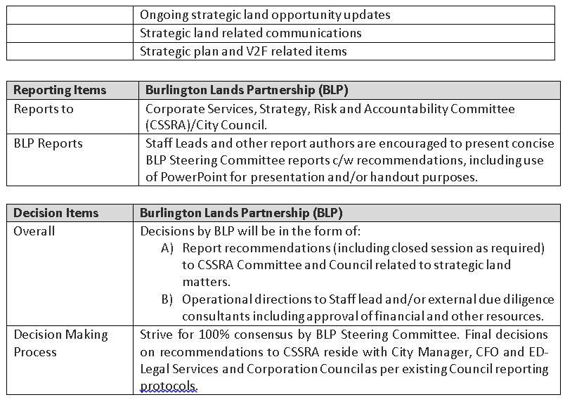 blp steering terms 4