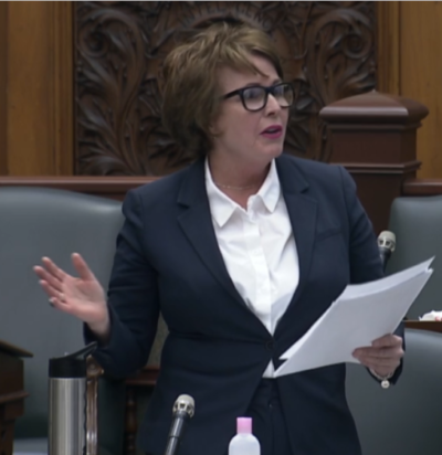 McKenna in the legislature
