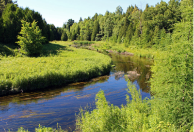 open area in Peel