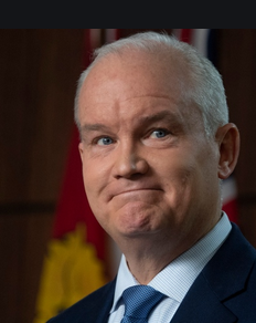 o'tOOLE SMUG 1