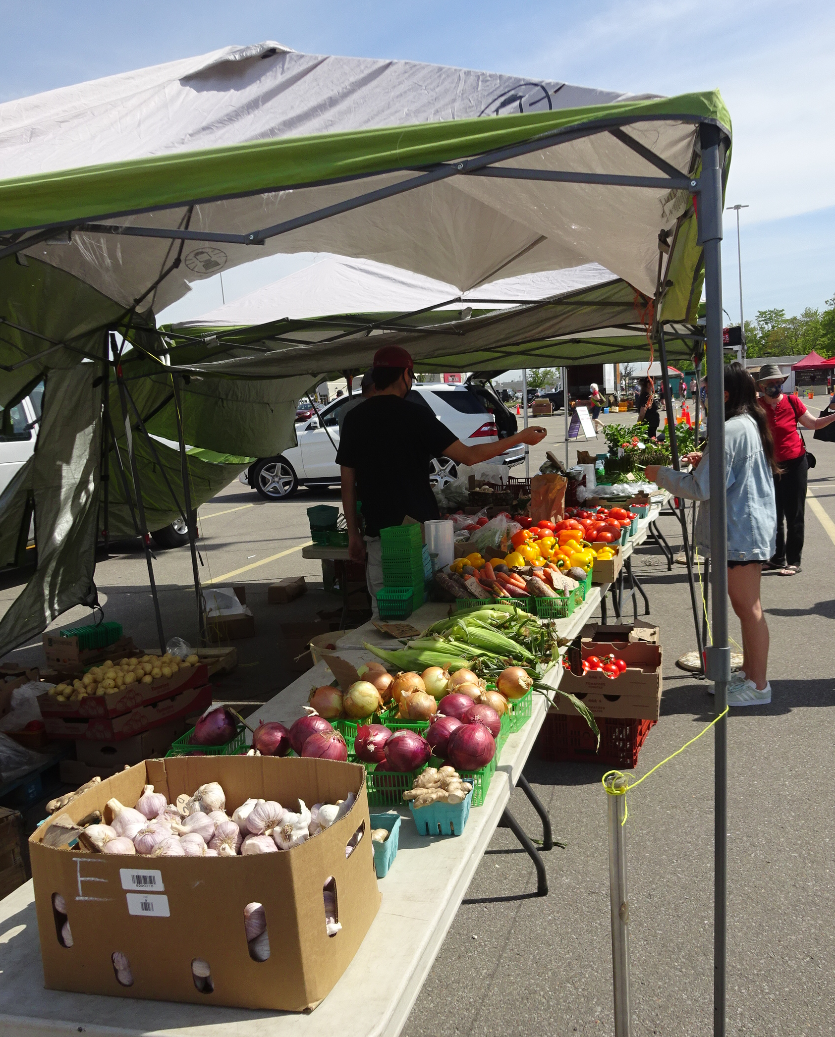 Table laden with vegetable