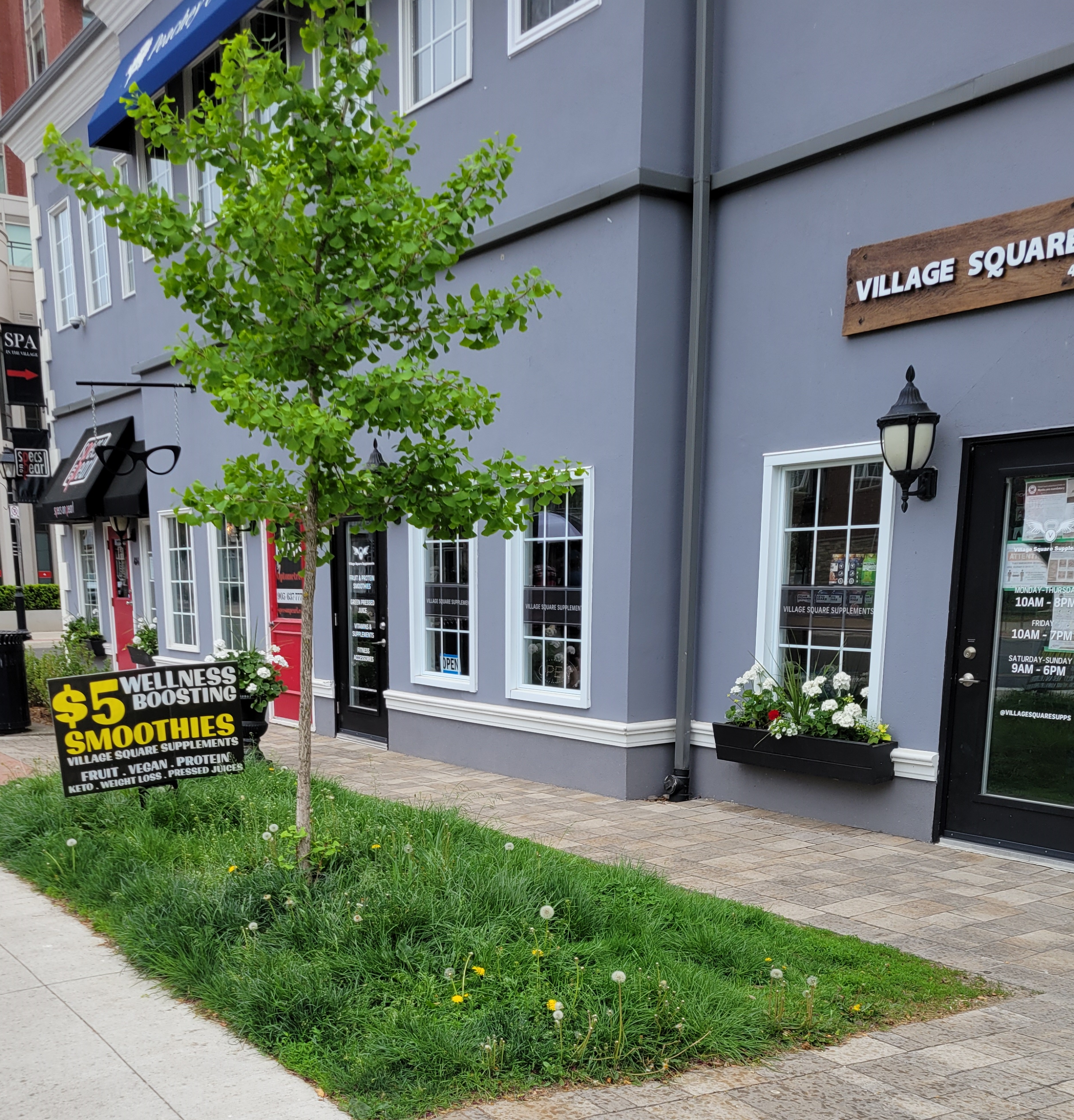 Vill Square grass