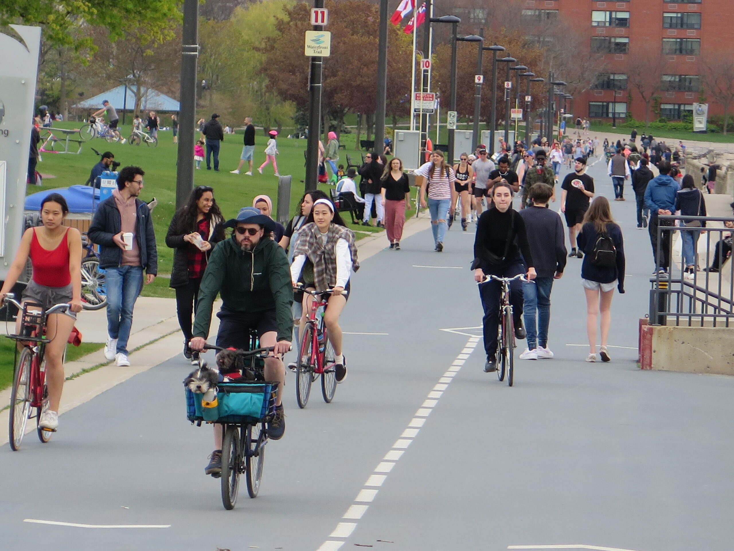 bikes on the promendae