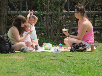 family picnic