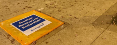 removal plaque