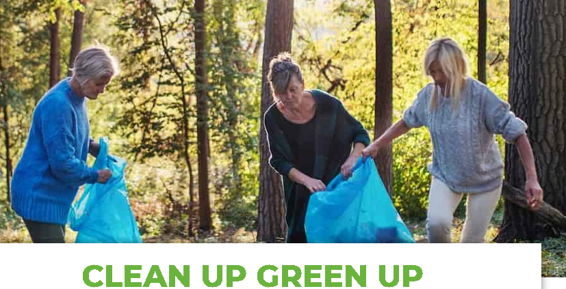 BG clean up adults