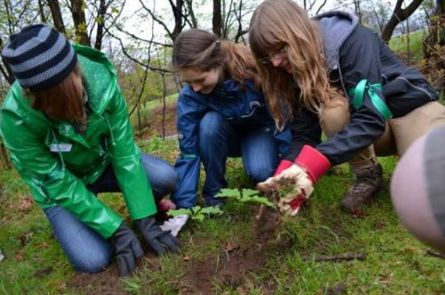 BG teree planting - kids