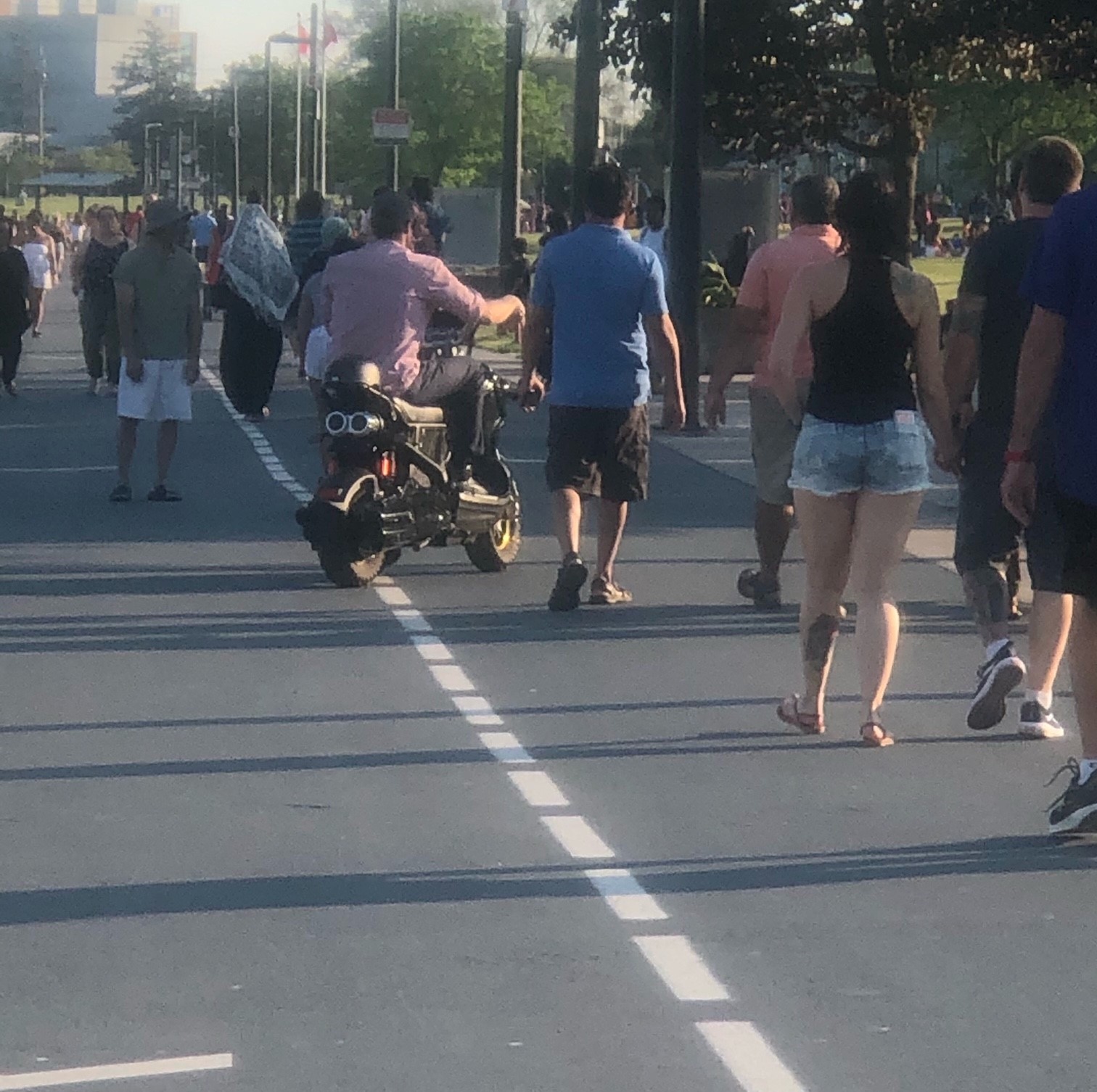 saturday pathwat promenade