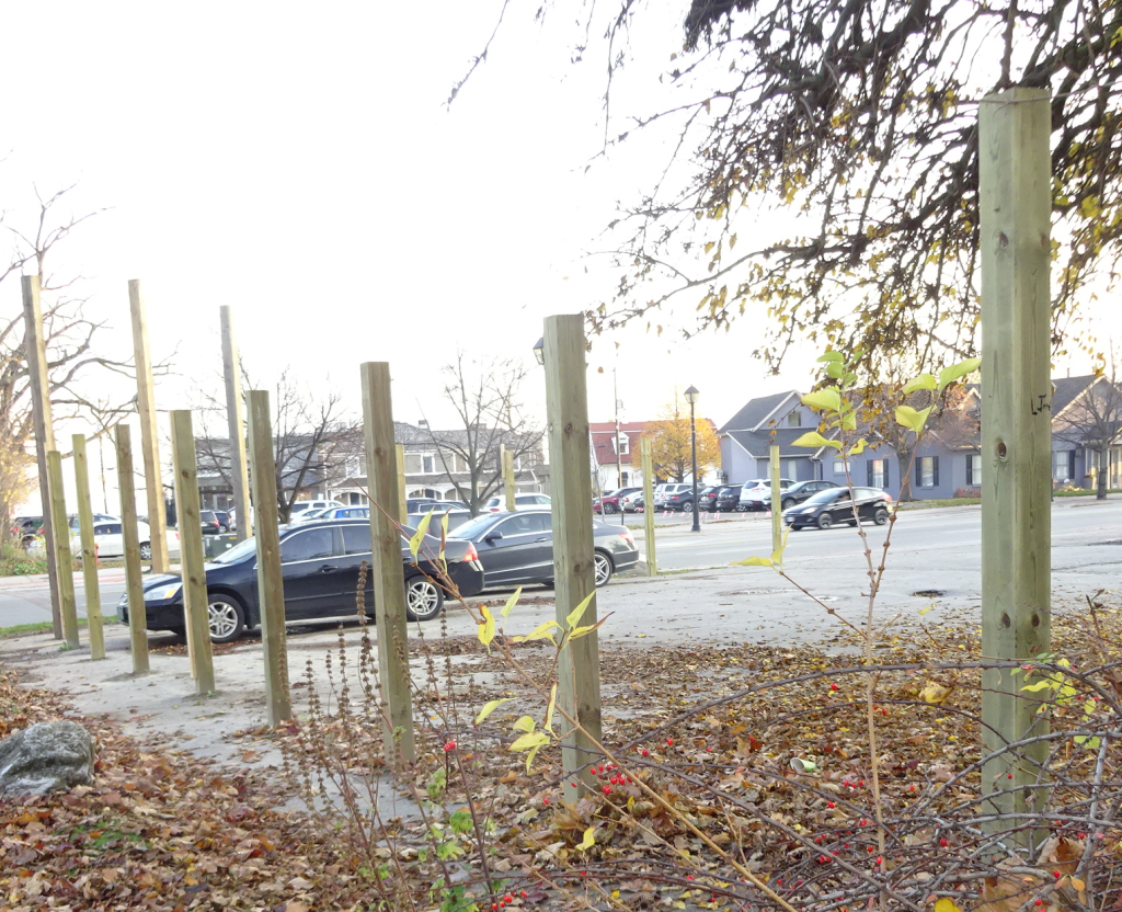 Adi fence marth lking south