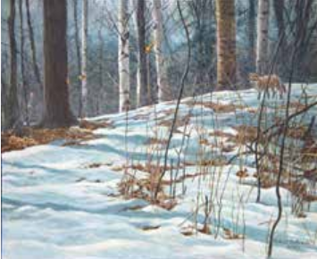 Bateman - red fox