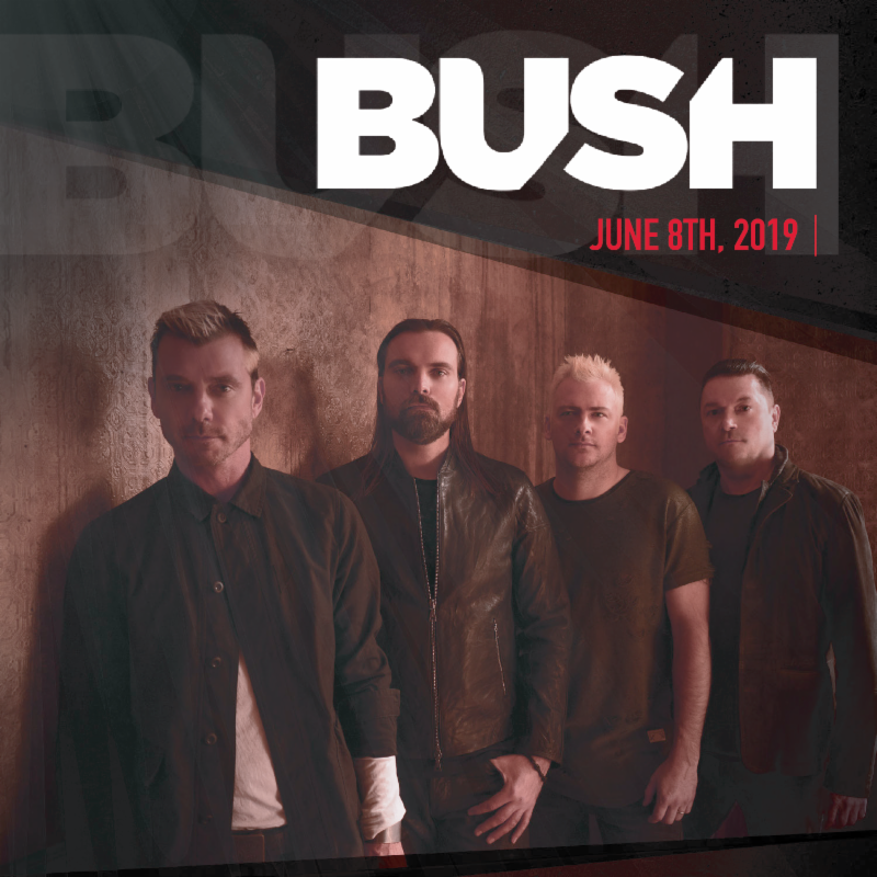 Bush