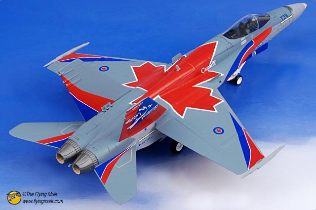 CF 18 witrh flags
