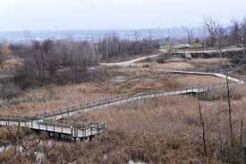 Cootes - walkway boardwalk