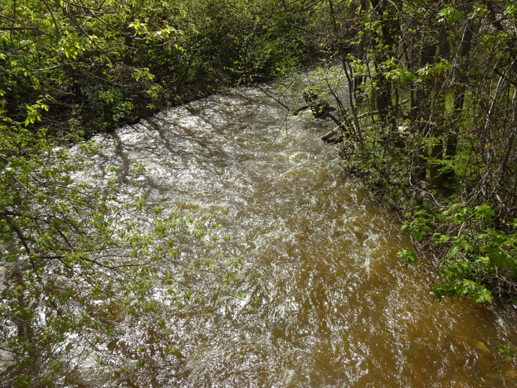 Creek - very high