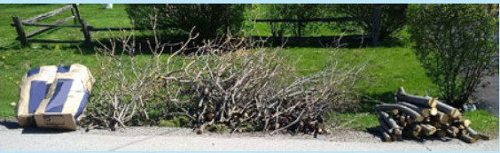 Curb side waste