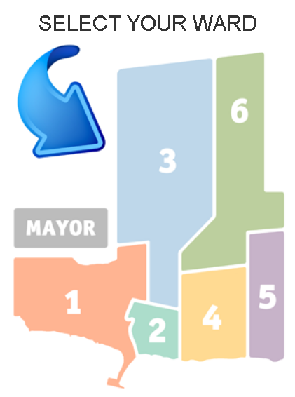 Election results HOME page map