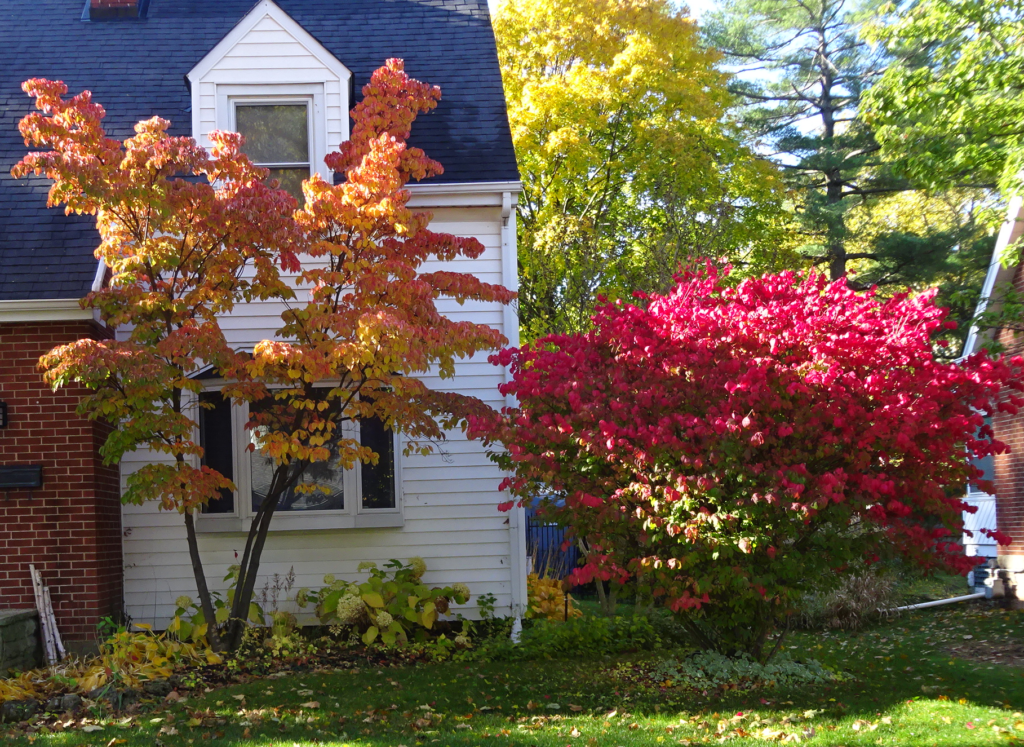 fall-back-1
