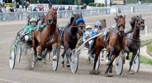 gambling-trotters
