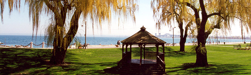 gazebo-willow-trees