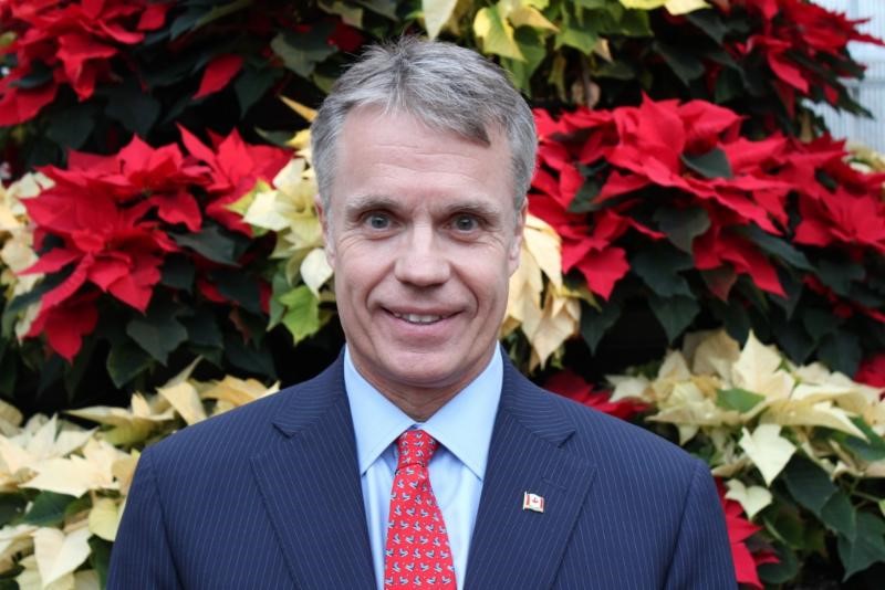 Goldring - Christmas picture