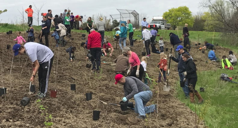GreenUp 2017 tree plant