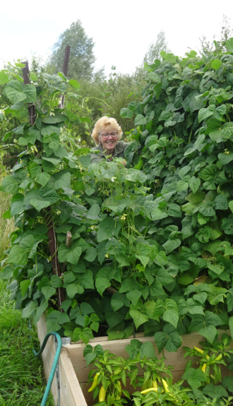 Grow plants Jan