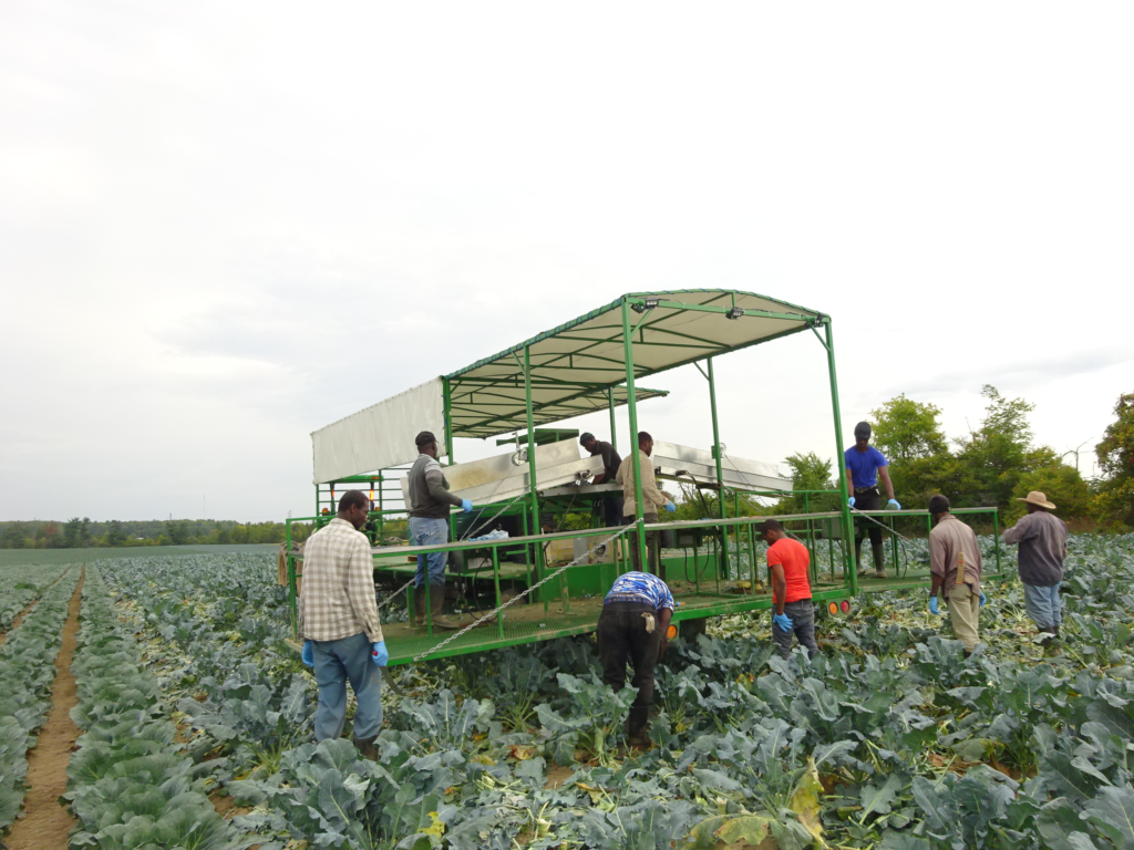 haac-jp-saliba-harvesting-machine