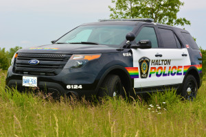 HRPS cruieser with rainbow stripes