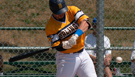 Herd batter