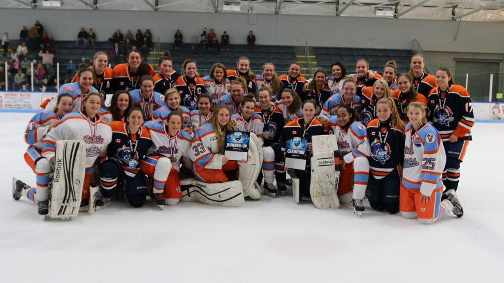 Hockey Bantam AA - Gold Medalists - Bauer World Hockey Invitational - Detroit - with Little Caesars (2)