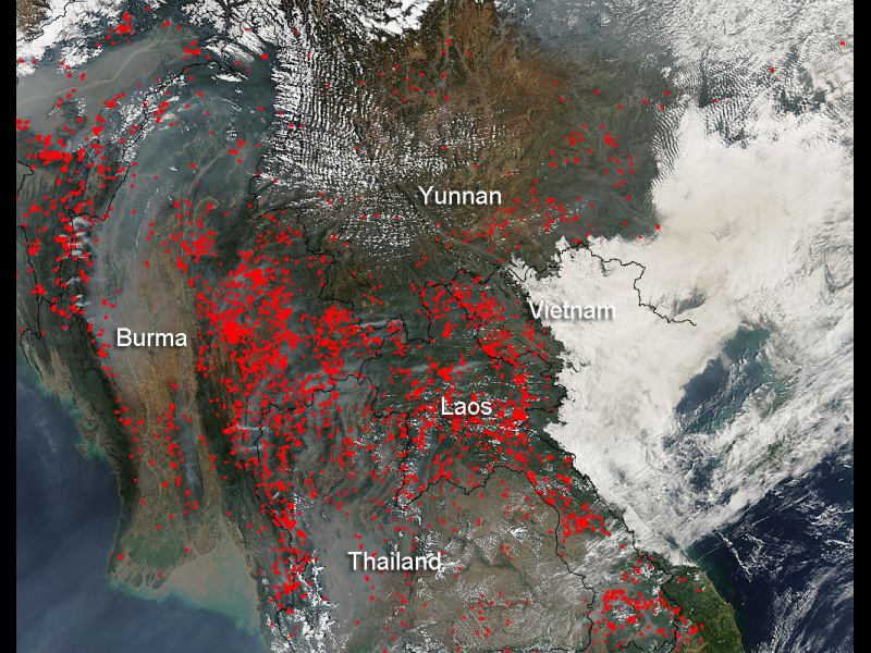 Holocene extinction event